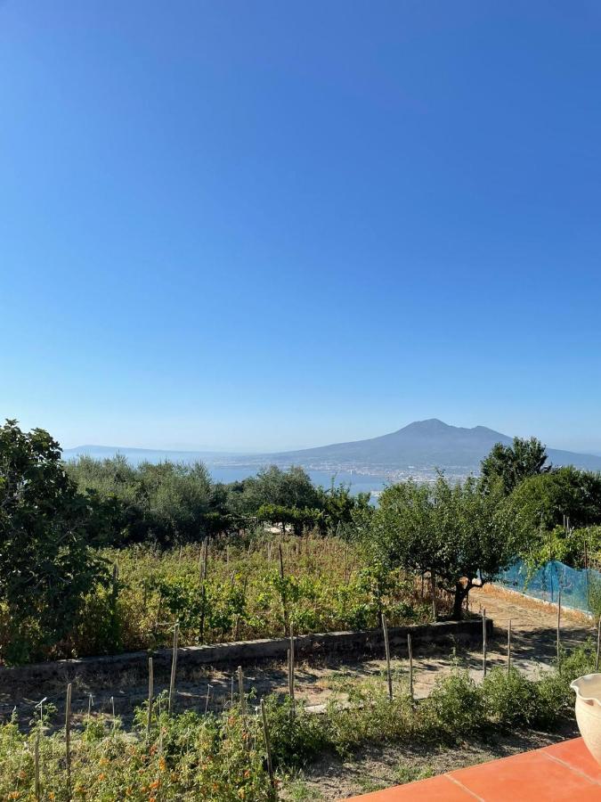 Palipano House Villa Pimonte Dış mekan fotoğraf