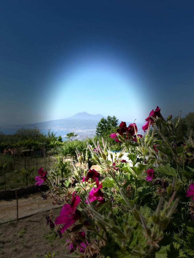 Palipano House Villa Pimonte Dış mekan fotoğraf